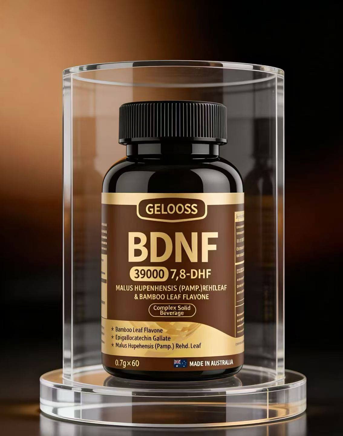 BDNF�����Կ�˥������Կ��������������־� �Ծ�����15658825815