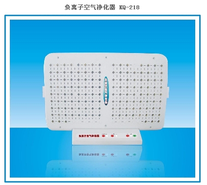广州市碧睿环保科技有限公司